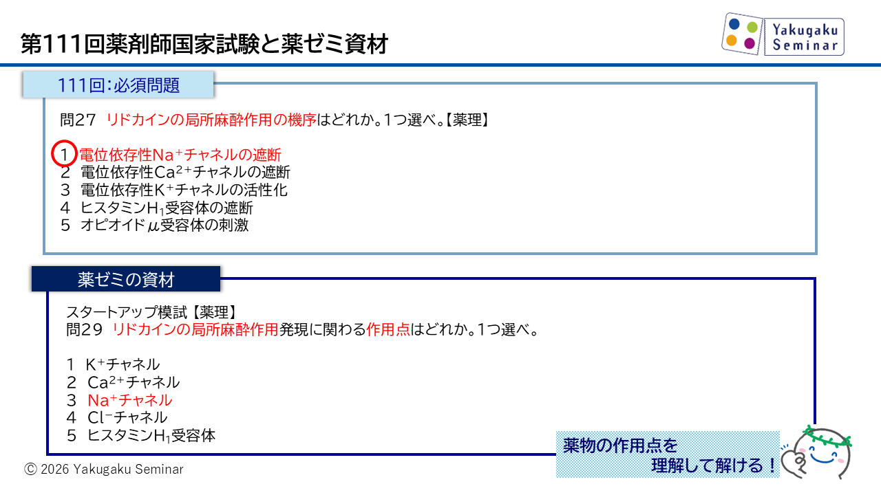 コラム｜第111回薬剤師国家試験｜薬ゼミ模試・やまかけ・直前講座との