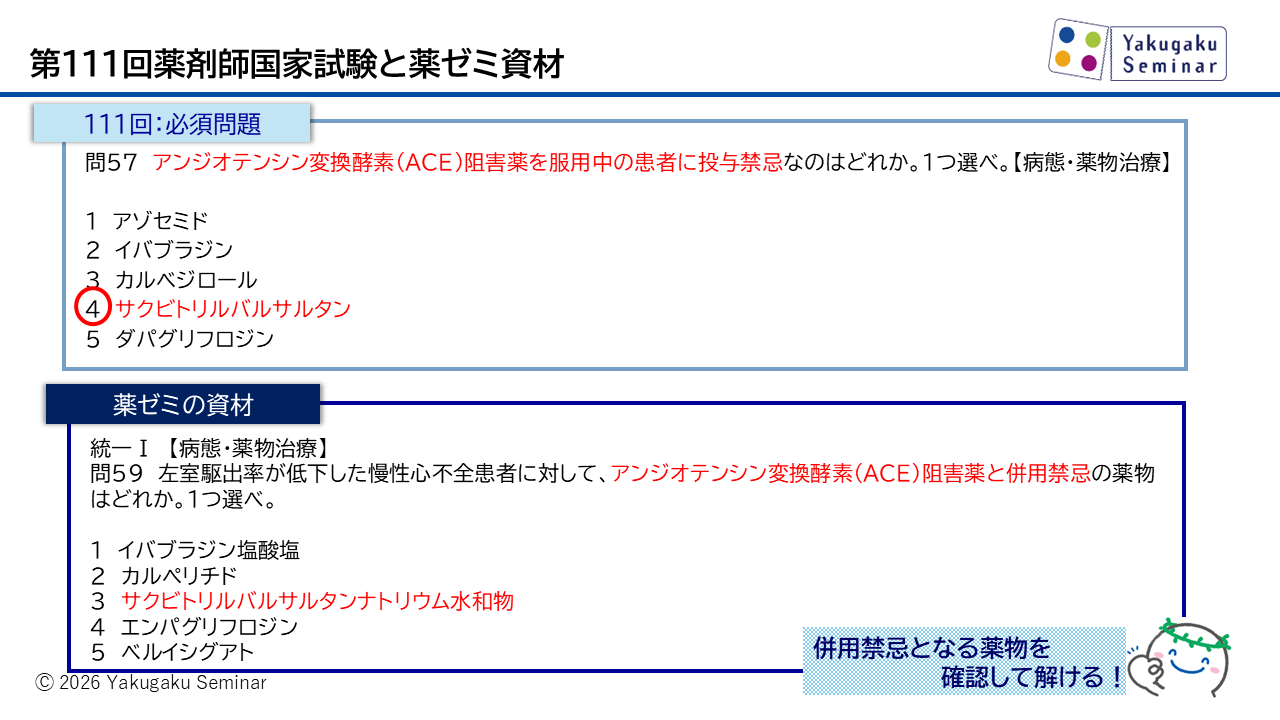 コラム｜第111回薬剤師国家試験｜薬ゼミ模試・やまかけ・直前講座との